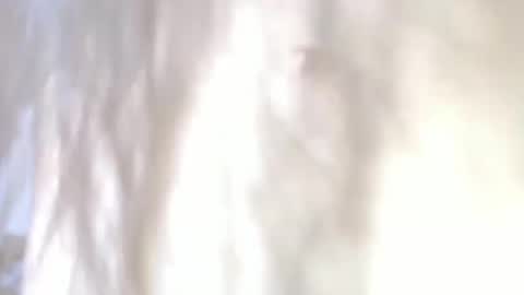 sweetdam12 online show from 12.30.24