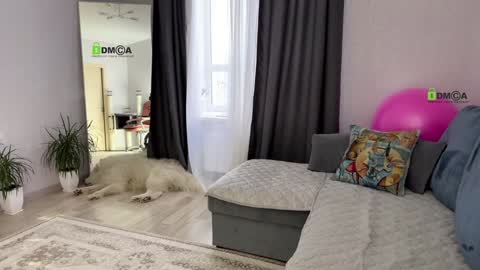 Vicktorious online show from 01.17.25