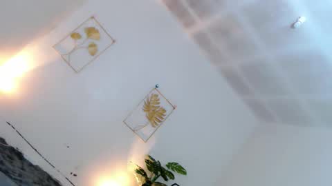 May online show from 12.01.25