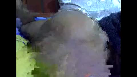 sweetnanna online show from 06.04.26