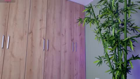    online show from 01.23.25