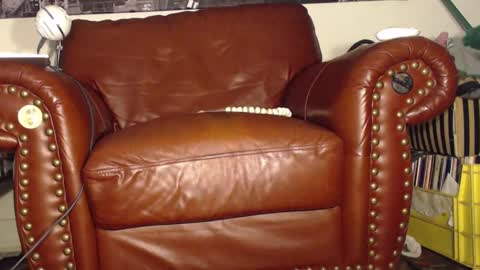 Snapshot of swolebbc chatting on 09.28.25 The DickGod online show from 09.28.25