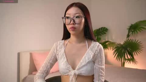 MEI online show from 02.19.26