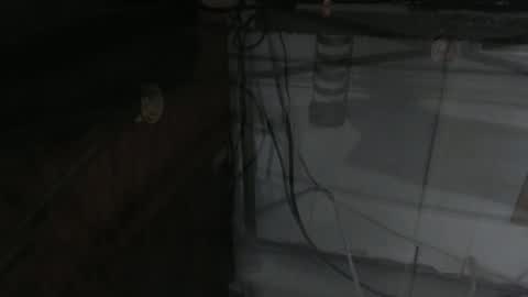 sxulx2c online show from 12.14.24