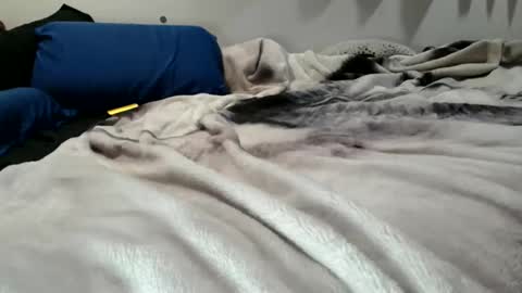 sybadog online show from 02.19.26