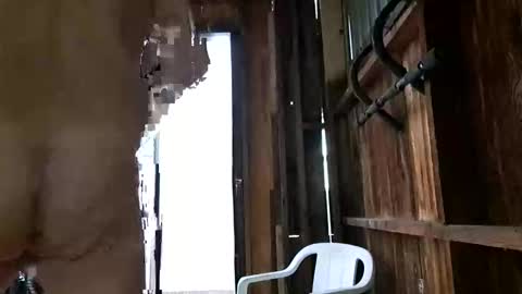 syevecrl online show from 10.27.25