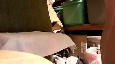 syevecrl online show from 01.14.26