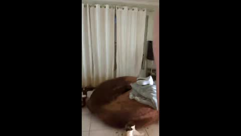 tab7exp online show from 03.21.26