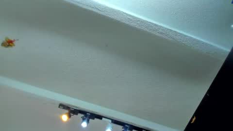 Snapshot of tafari_1 chatting on 06.04.26 Tafari Zulu online show from 06.04.26