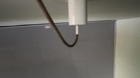 tali  online show from 04.08.26