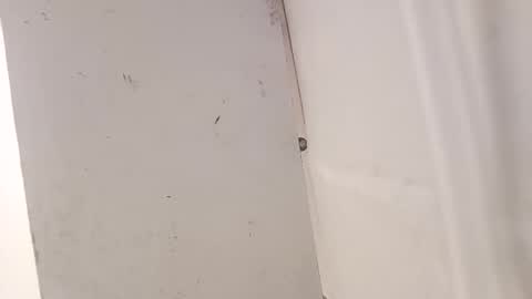 tall6feet7inch online show from 12.18.25