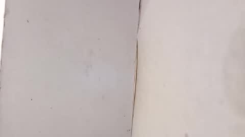 Snapshot of tall6feet7inch chatting on 02.01.26 tall6feet7inch online show from 02.01.26