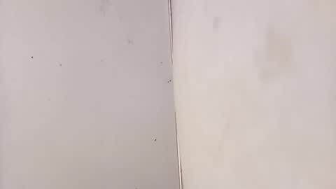 Snapshot of tall6feet7inch chatting on 02.03.26 tall6feet7inch online show from 02.03.26