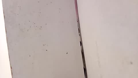 Snapshot of tall6feet7inch chatting on 02.15.26 tall6feet7inch online show from 02.15.26