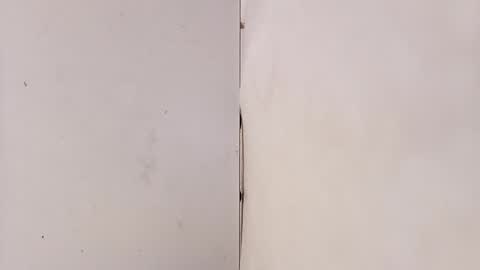 tall6feet7inch online show from 03.15.26