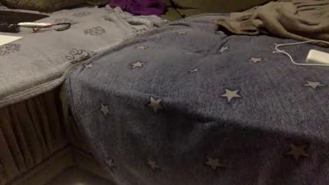 Aligator online show from 11.15.25