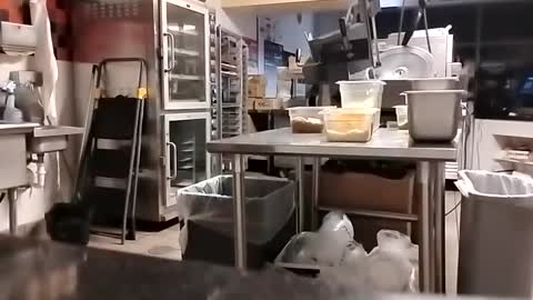 The Man of Steel online show from 09.10.25