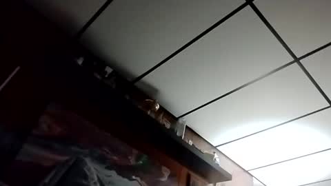 The Man of Steel online show from 10.27.25