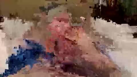 Snapshot of tallnfun101 chatting on 02.21.26 tallnfun101 online show from 02.21.26