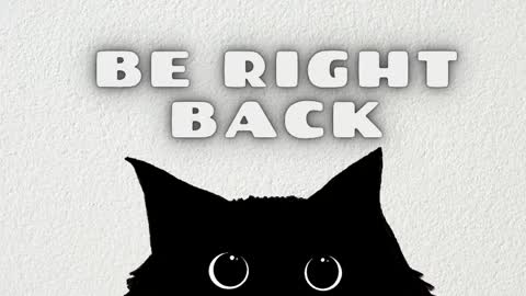 Rousaly online show from 04.01.26