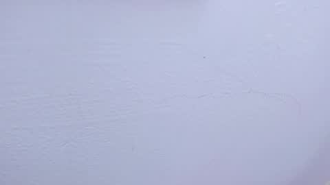 Snapshot of tamara_slimx chatting on 02.09.25 Tamara online show from 02.09.25