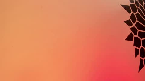 Tamara. online show from 02.25.25