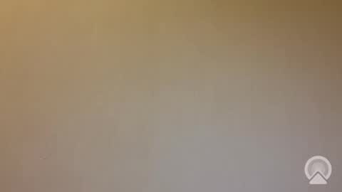 tanelure online show from 09.25.25