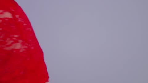 Tania Amore online show from 11.25.25