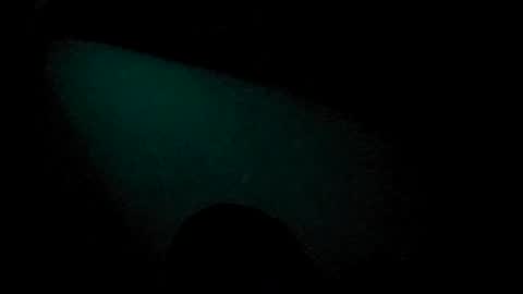 Snapshot of tatko874482 chatting on 07.04.26 Beliqnegar online show from 07.04.26