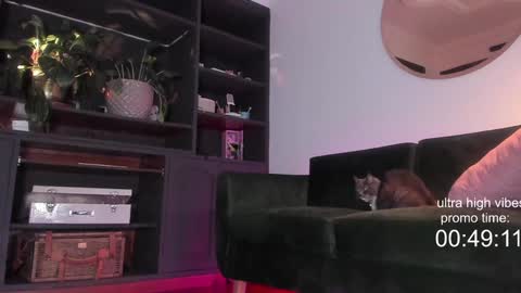 Nathalie Hardy  online show from 12.02.24