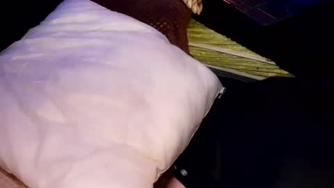 Jean pool online show from 10.31.25