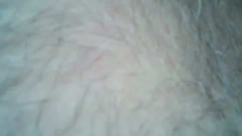 tattzsexy online show from 12.21.25