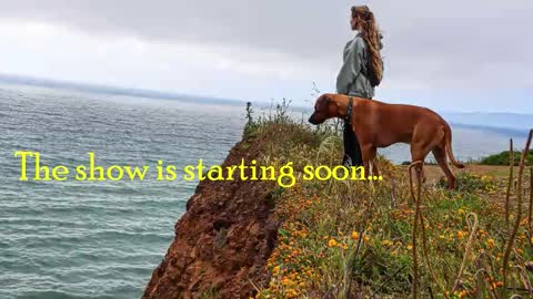 TATUM  ALL MY LINKS  online show from 02.11.26