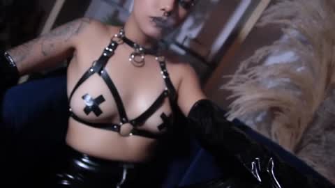 Snapshot of taylorharp chatting on 12.13.24 Taylor online show from 12.13.24