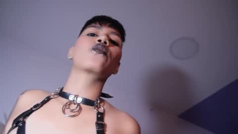 Snapshot of taylorharp chatting on 11.05.25 Taylor online show from 11.05.25