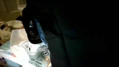 Snapshot of taylorriot chatting on 10.17.25 Taylor Riot online show from 10.17.25