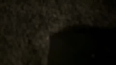 td 78 online show from 01.12.25