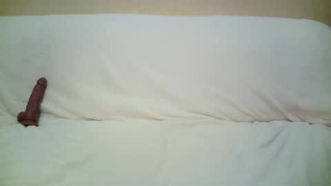 teach4kitty online show from 09.29.25