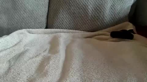 tec0vas online show from 01.15.26