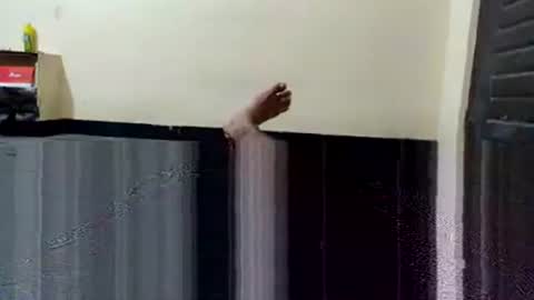 telugu_dick_hyd online show from 11.04.25