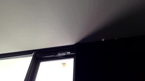 tempsnasty online show from 03.16.26