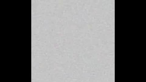 temptisst online show from 03.23.26