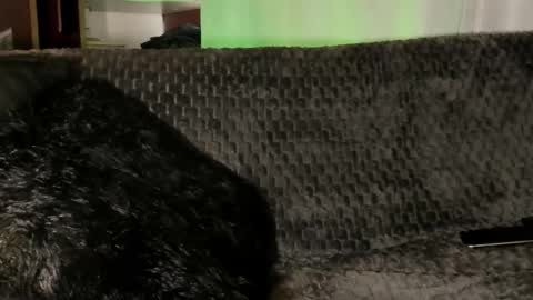 Teo online show from 01.08.26