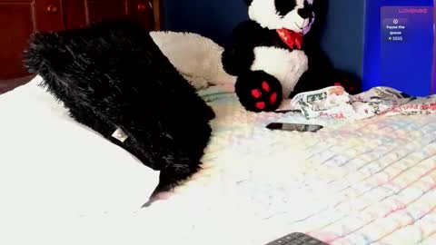 Teo online show from 03.11.26