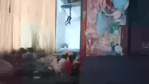 Terra Elowen online show from 03.20.26