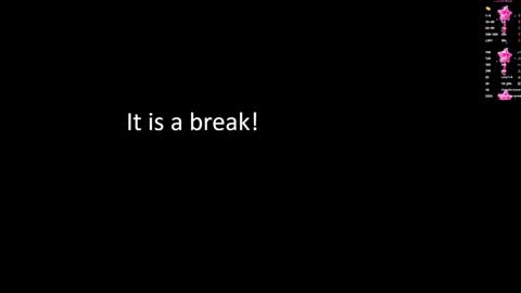 Snapshot of terryadorable chatting on 01.17.25 Terry online show from 01.17.25