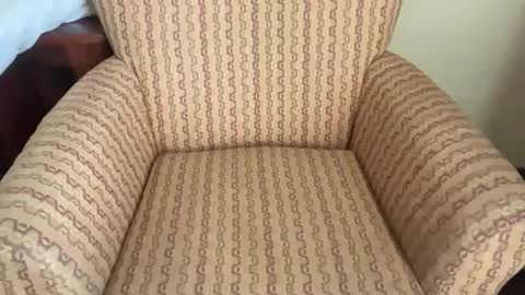 Snapshot of teveron chatting on 03.23.26 Tev online show from 03.23.26