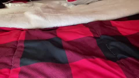 Snapshot of texashotrod chatting on 12.06.24 Derick online show from 12.06.24