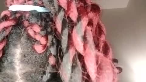 sexi lexi online show from 01.17.25