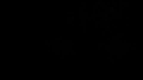 CJ online show from 03.02.26